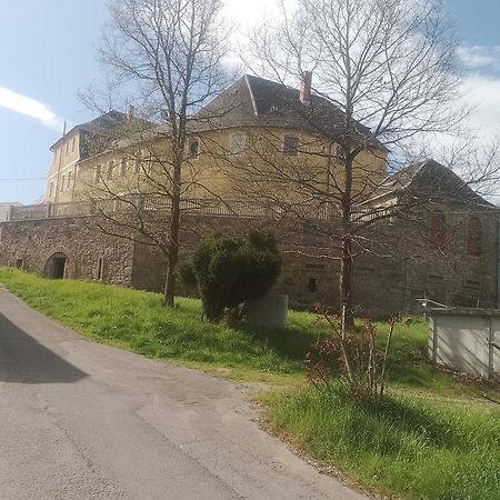 Lengenfeld  Ferienwohnung Im Rittergut Plohn 300 Meter Zum Freizeitpark מראה חיצוני תמונה